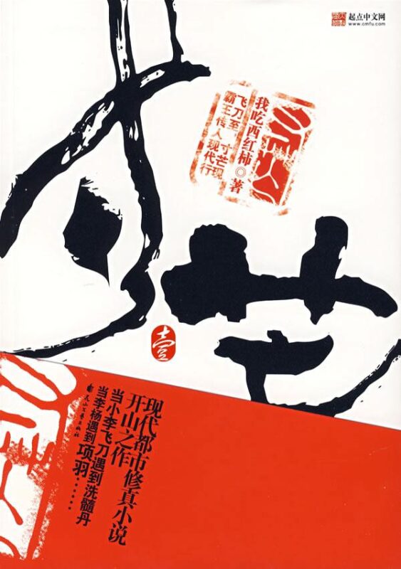 寸芒封面