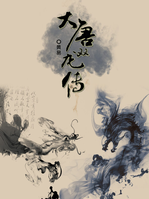 大唐双龙传封面