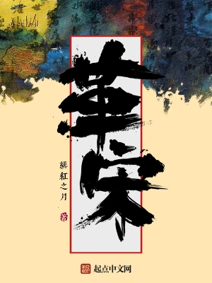 《革宋》作者：绯红之月 TXT/EPUB电子书下载