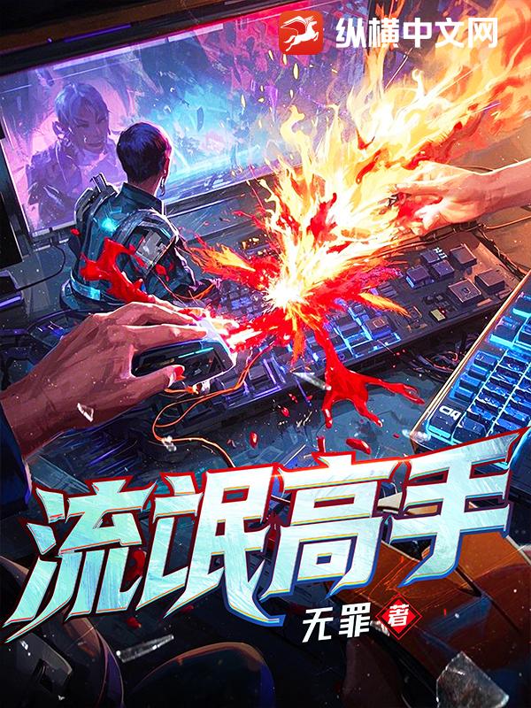 流氓高手封面