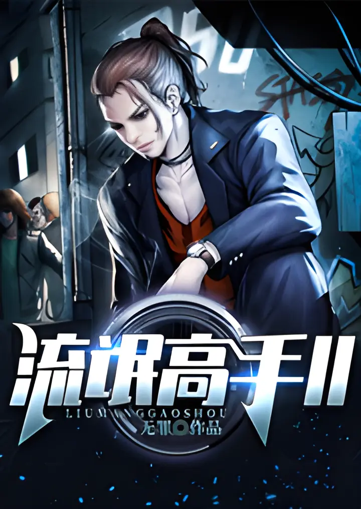 《流氓高手II》作者:无罪 TXT/EPUB电子书下载