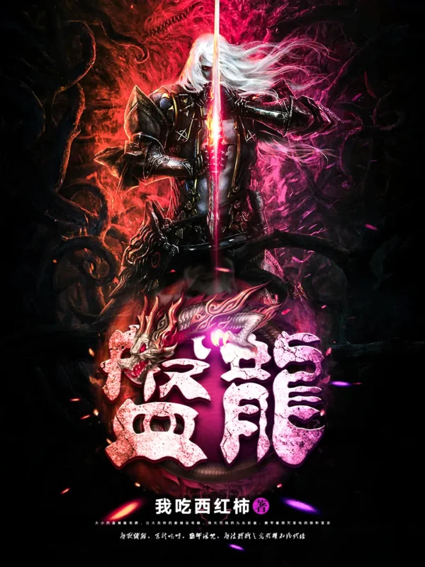 盘龙封面