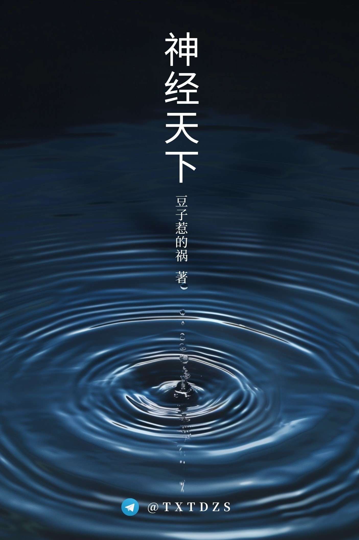 《神经天下》作者：豆子惹的祸 TXT/EPUB电子书下载
