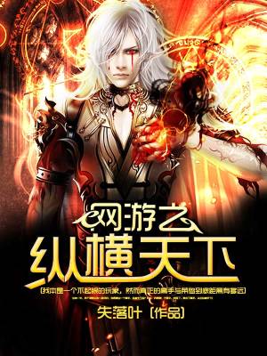 网游之纵横天下〔精排〕封面