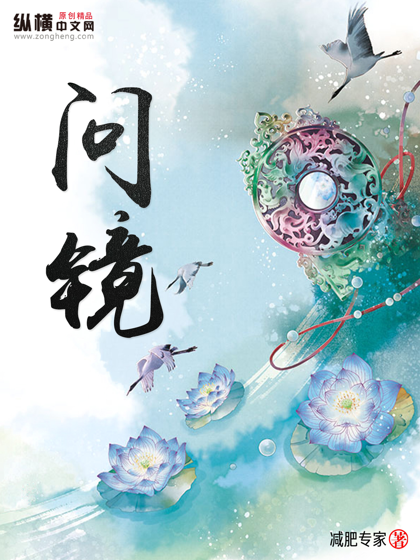 《问镜》作者:减肥专家 TXT/EPUB电子书下载