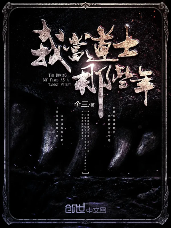 我当道士那些年封面