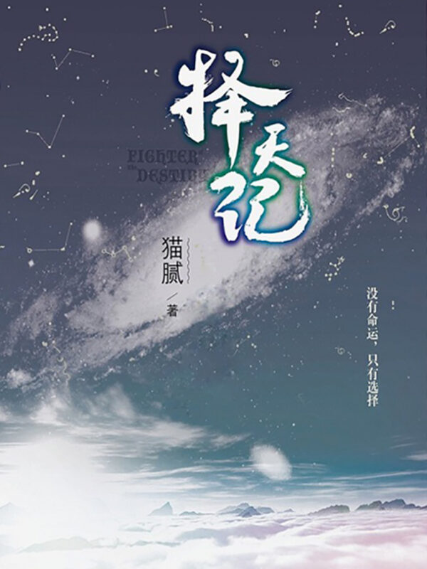 择天记-毛豆小说