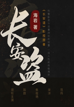 《长安盗》作者：海岩 TXT电子书下载