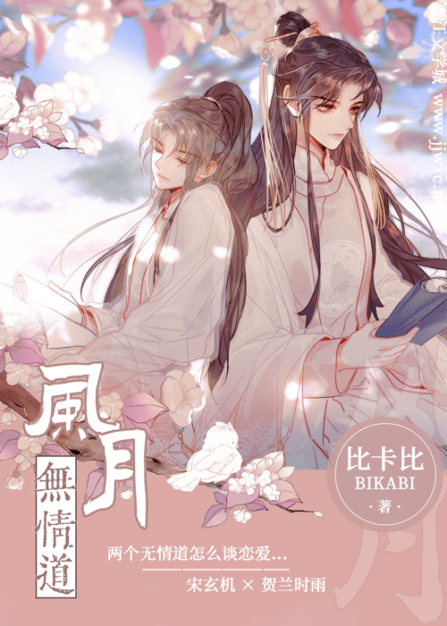 风月无情道封面