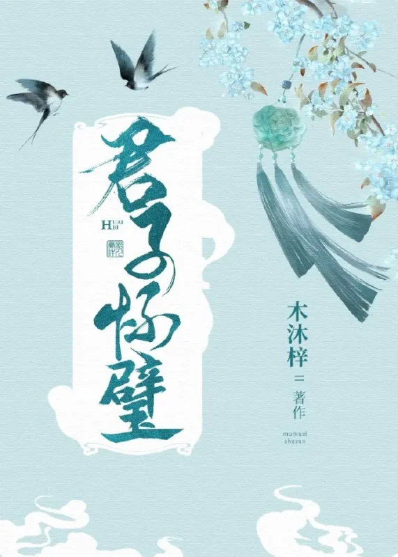 君子怀璧-毛豆小说