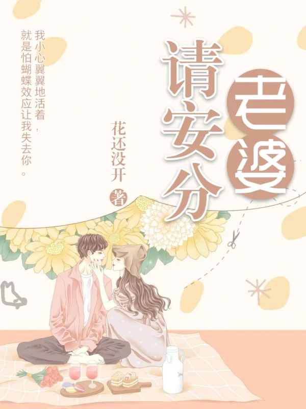 老婆请安分封面