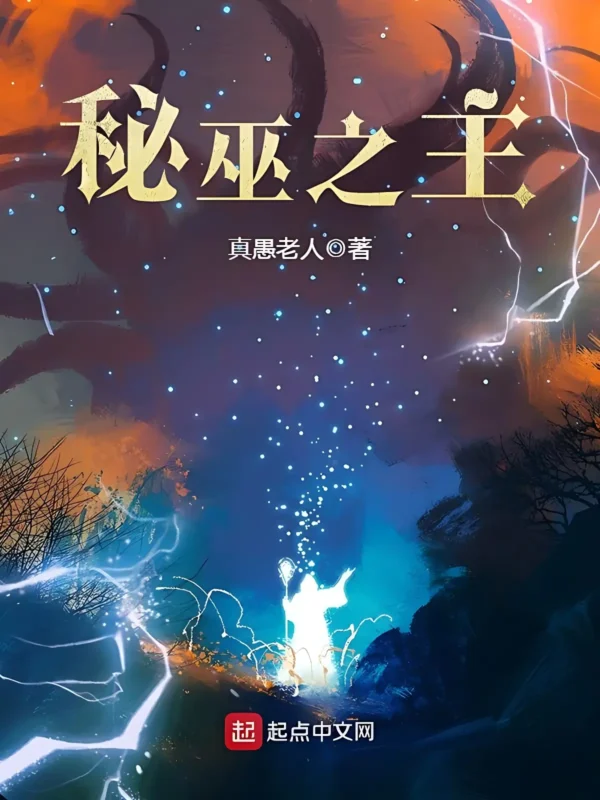 秘巫之主-毛豆小说