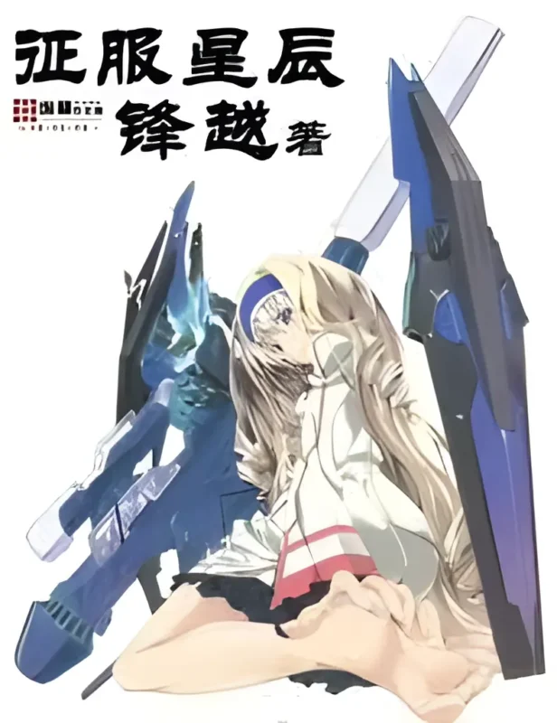 征服星辰封面