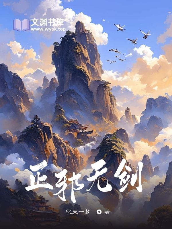 正邪无剑封面