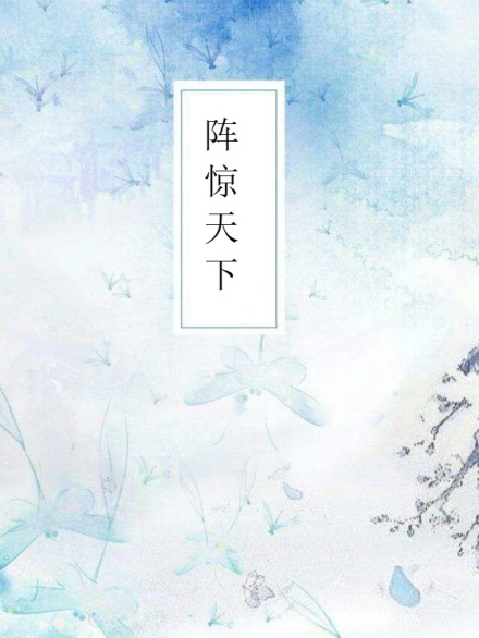 阵惊天下封面