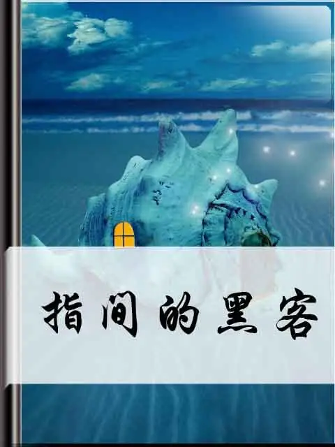 《指间的黑客》作者：黑色键盘 TXT电子书下载