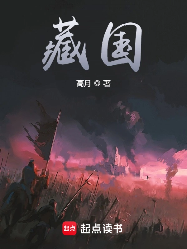 《藏国》作者：高月 TXT电子书下载