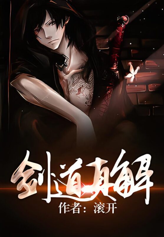 剑道真解封面
