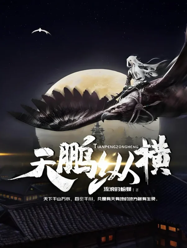 天鹏纵横封面