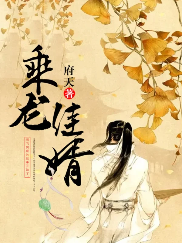 乘龙佳婿-毛豆小说