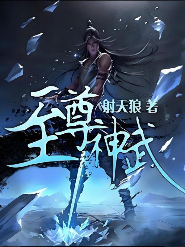 至尊神武封面