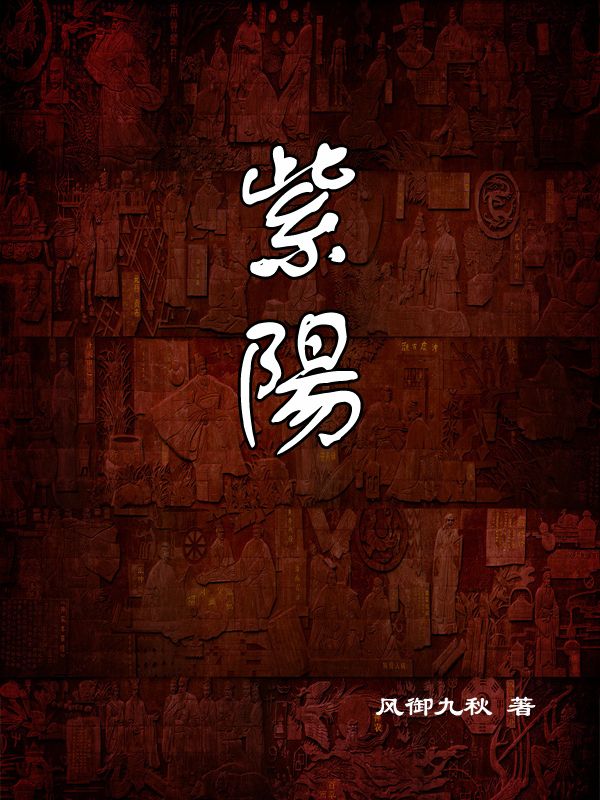 紫阳-毛豆小说