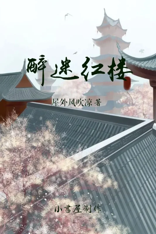 醉迷红楼封面