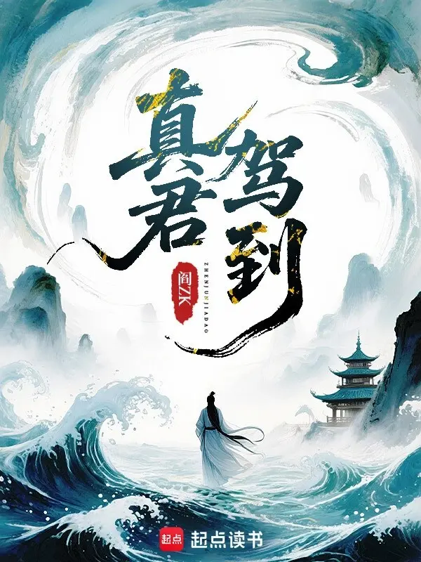 真君驾到-毛豆小说