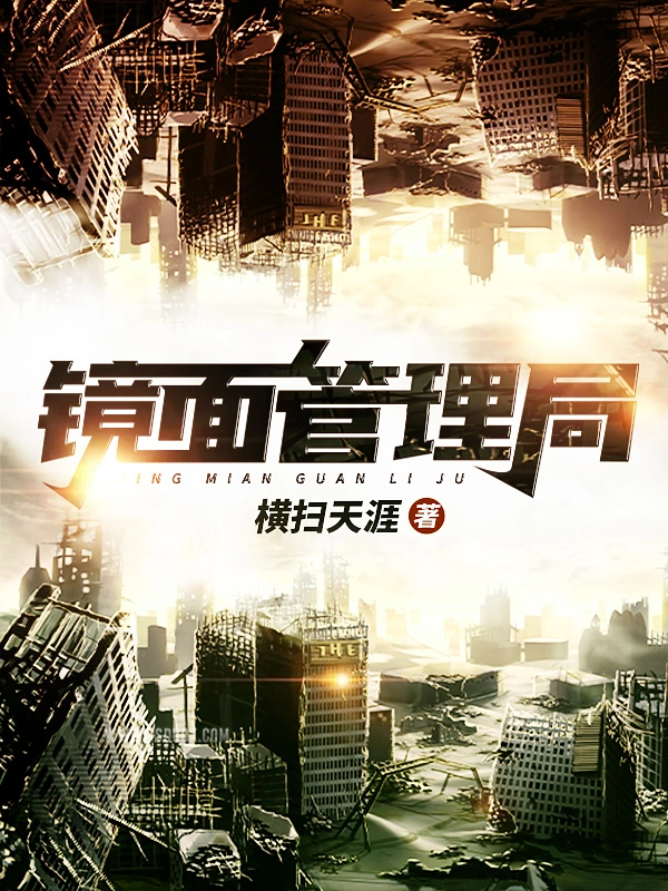 镜面管理局封面