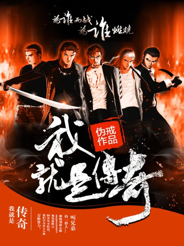我就是传奇封面