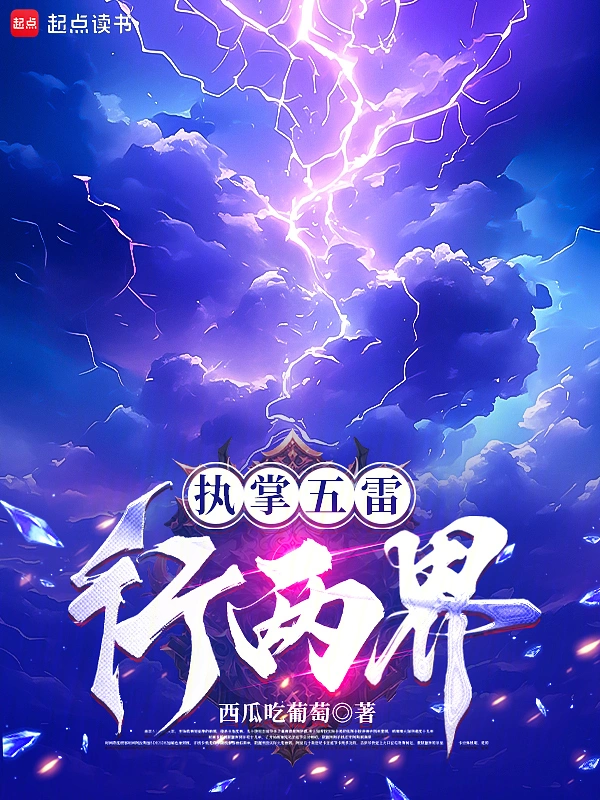 执掌五雷行两界封面